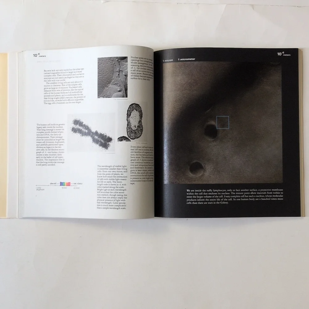 Powers of Ten - 1982 - Picture 12 of 14